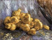 Vincent Van Gogh Still Life with Quinces Norge oil painting reproduction